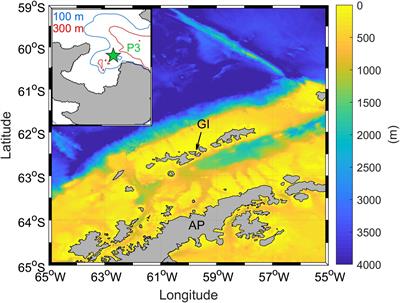 Surface Ammonia-Oxidizer Abundance During the Late Summer in the West Antarctic Coastal System